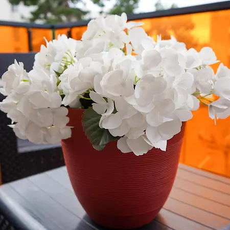 Bel Climatise & Parking * Perpignan