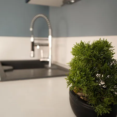Bel Climatise Avec Parking Apartment *