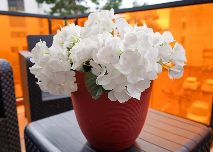 Bel Climatise & Parking * Перпиньан