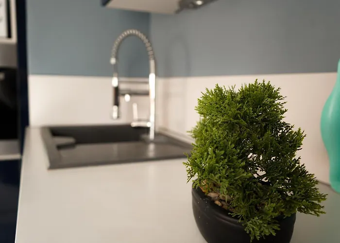 Bel Climatise & Parking Apartman *